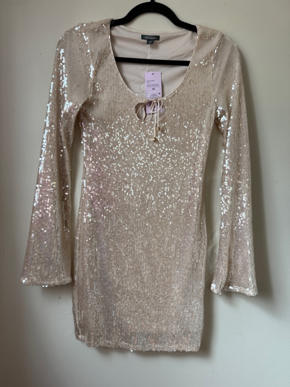 Wild fable Sequin Mini Dress in Champagne